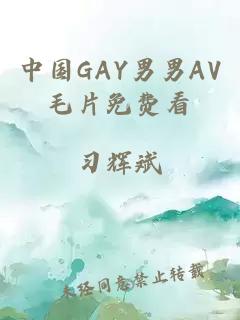 中国GAY男男AV毛片免费看